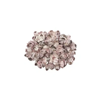 Phillips Collection Barnacle Cluster Wall Art, Lg In Purple