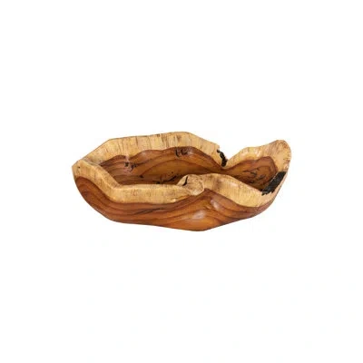 Phillips Collection Burled Bowl In Brown