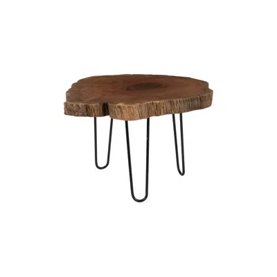 Phillips Collection Burled Coffee Table, Black Metal Legs In Brown
