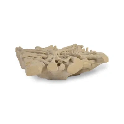 Phillips Collection Cast Naturals Abstract Coffee Table In Roman Stone