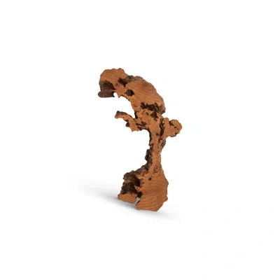Phillips Collection Cast Naturals Burled Root Wall Décor In Brown