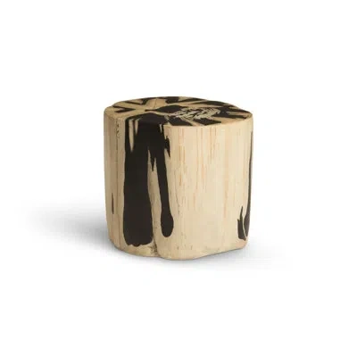 Phillips Collection Cast Naturals Petrified Accent Stool In Black;cream;black,cream