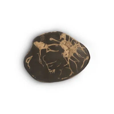 Phillips Collection Cast Naturals Petrified Wood Wall Décor In Black