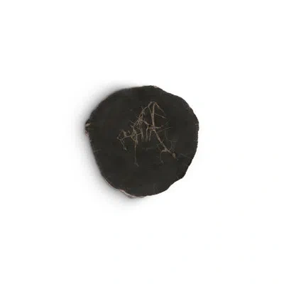 Phillips Collection Cast Naturals Petrified Wood Wall Décor In Black