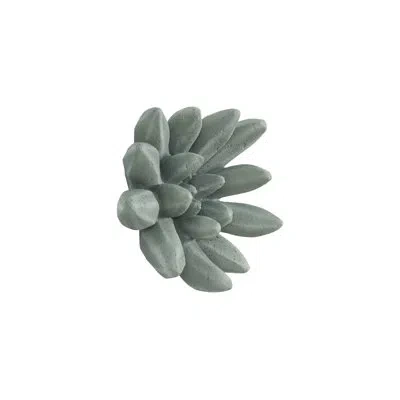 Phillips Collection Compactum Succulent Wall Art In Green