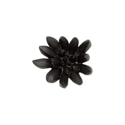 Phillips Collection Compactum Succulent Wall Decor In Smooth Black