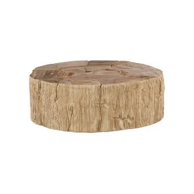 Phillips Collection Converge Petrified Coffee Table, Rough, Cream In Off White,cream,white,brown