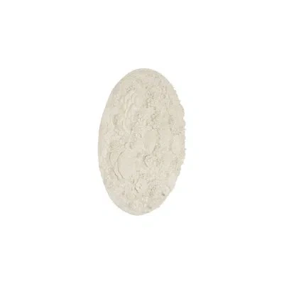 Phillips Collection Coral Reef Wall Decor In Off White