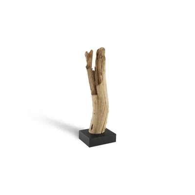Phillips Collection Driftwood On Stand In Black;brown