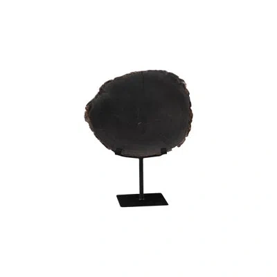 Phillips Collection Elements Petrified Wood Slice On Stand In Black