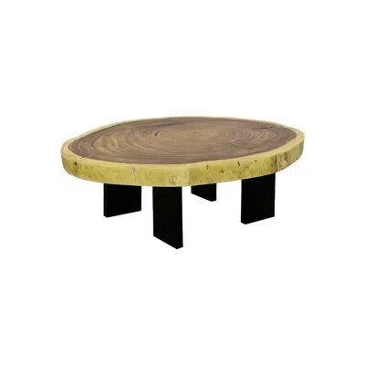 Phillips Collection Floating 4 Legs Coffee Table Assorted In Natural