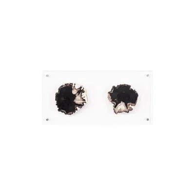 Phillips Collection Floating Petrified Double Slice Wall Décor In Brown