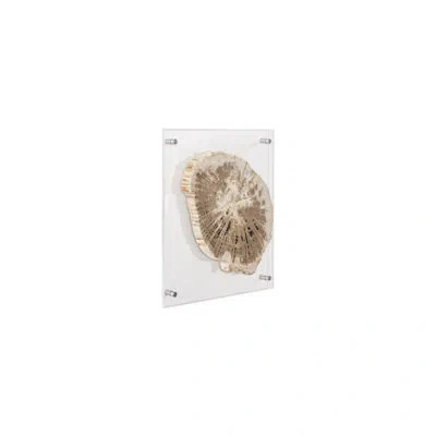 Phillips Collection Floating Petrified Slice Wall Décor In Black;light Brown