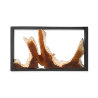 Phillips Collection Framed Root Wall Décor In Black;brown