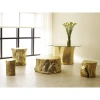 Phillips Collection Log Stool In Gold