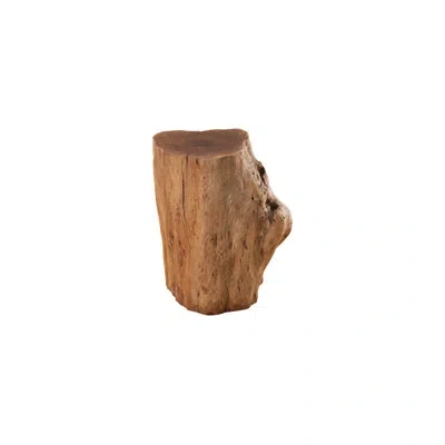 Phillips Collection Longan Wood Stool, Assorted Size And Shapes In Brown
