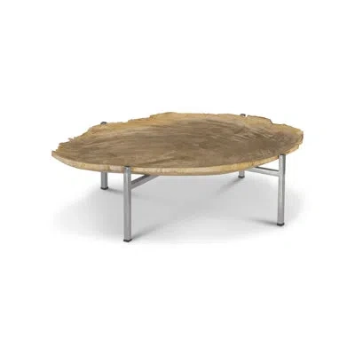 Phillips Collection Petrified Wood Serving Tray In Beige