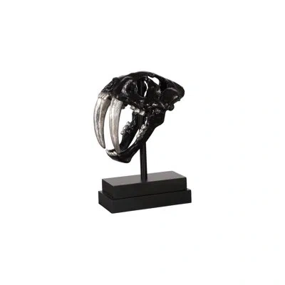 Phillips Collection Saber Tooth Tiger Skull In Black;silver