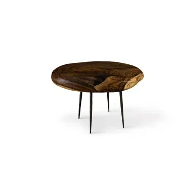 Phillips Collection Skipping Stone Coffee Table In Brown