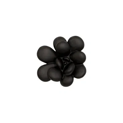 Phillips Collection Succulent Oviferum Wall Decor In Smooth Black