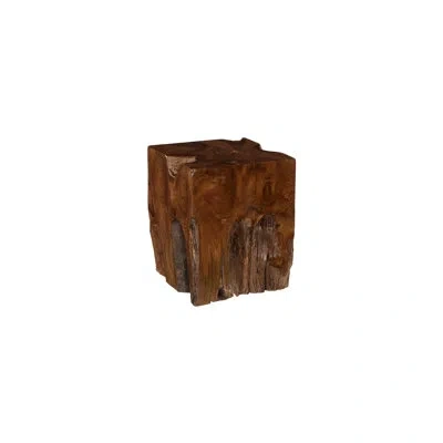 Phillips Collection Teak Root Side Table In Brown