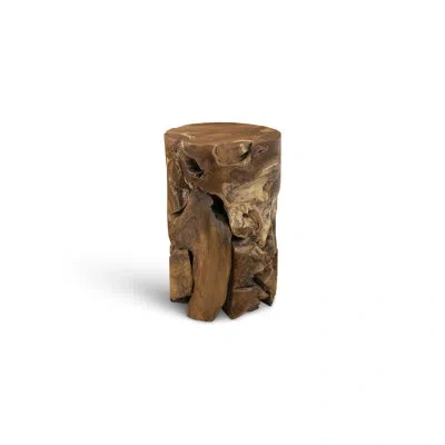 Phillips Collection Teak Side Table Round In Natural,brown