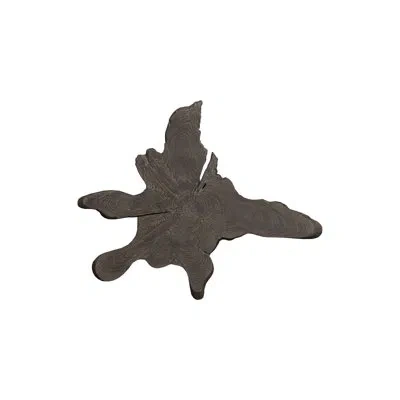 Phillips Collection Teak Slice Wall Décor, Lg, Dark Gray