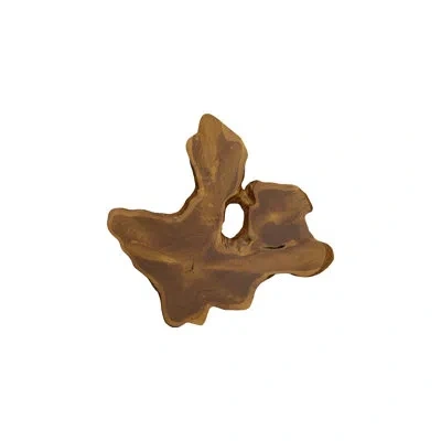 Phillips Collection Teak Slice Wall Décor, Lg, Natural
