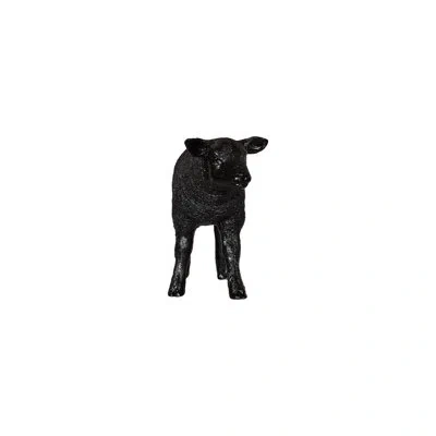 Phillips Collection Texelaar Sheep, Lamb, Gel Coat Black