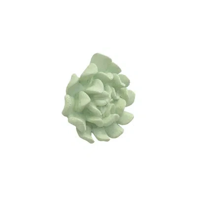 Phillips Collection Topsy Turvy Succulent Wall Art In Green