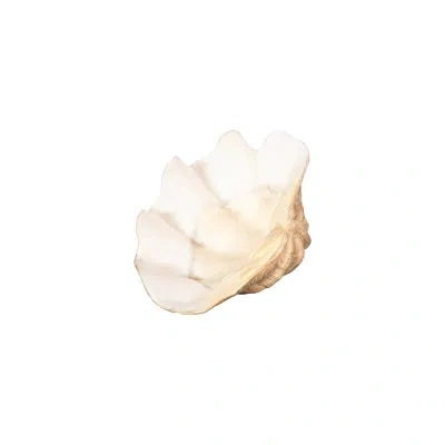Phillips Collection Unreal Cast Clam Shell Bowl In White,beige