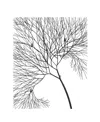 Phillips Collection Wire Tree Rectangular Metal Wall Art In Black