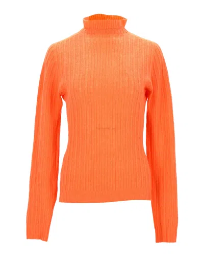 Philosophy By Lorenzo Serafini Philosophy Di Lorenzo Serafini Turtleneck Sweater In Orange Virgin Wool In Multi