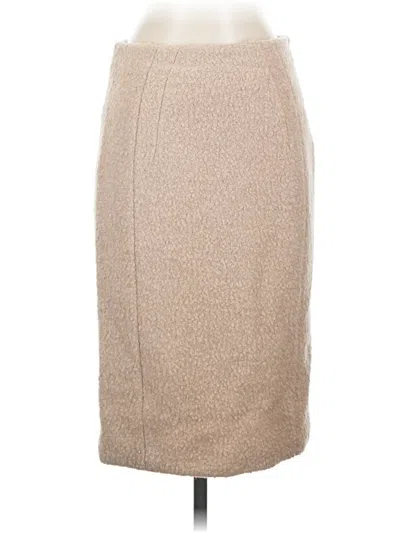 Pre-owned Philosophy Di Alberta Ferretti Formal Skirt In Brown