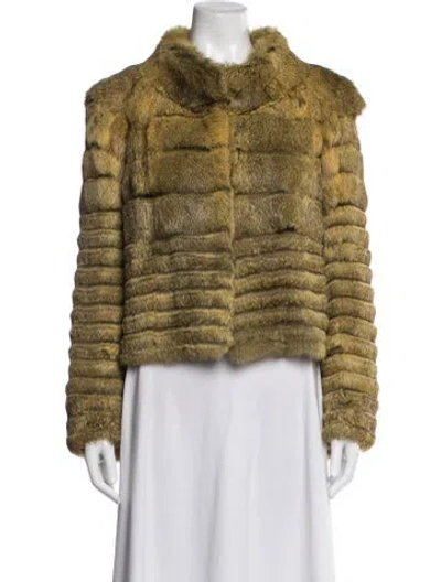 Pre-owned Philosophy Di Alberta Ferretti Fur Jacket In Yellow