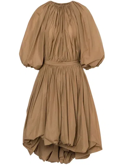 Philosophy In Brown