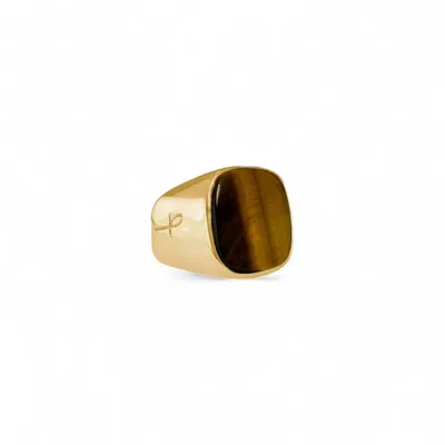 Phira London Men's Brown / Gold Tiger Eye Gold Signet Ring - S In Multi