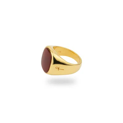 Phira London Men's Gold / Red Gold Square Carnelian Signet Ring In Multi