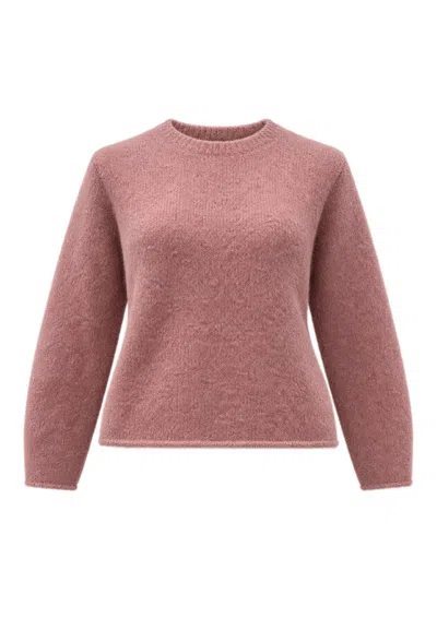 Phisique Du Role Sweater  Bow In Pink