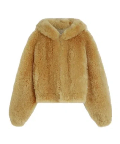 Phoebe Philo Hooded Casual Jacket In Brown
