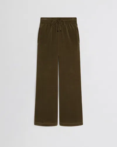 Phoebe Philo Velveteen Joggers In Beige Beige   #ddbb8c
