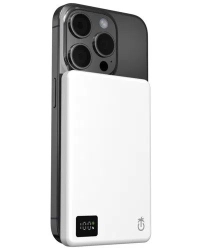 Phunkee Tree 3-in-1 Magnetic Wireless Power Bank In Green