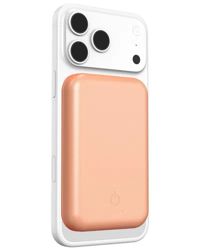 Phunkee Tree Leather Magnetic Power Bank In Multi
