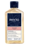 Phyto Color Anti-fade Shampoo In Transparent