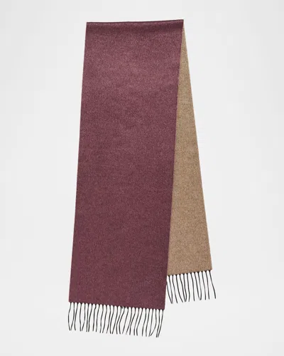 Piacenza 1733 Men & Apos;s Mirror Double-face Silk And Cashmere Scarf In Purple