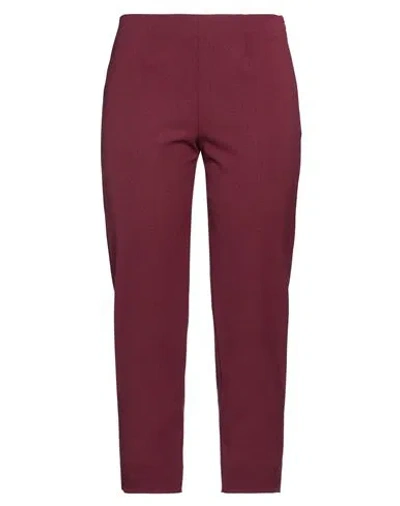 Piazza Sempione Woman Pants Burgundy Size 16 Virgin Wool, Polyamide, Elastane In Red