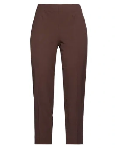 Piazza Sempione Woman Pants Chocolate Brown Size 4 Cotton, Elastane