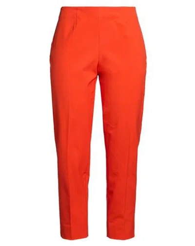 Piazza Sempione Woman Pants Red Size 14 Cotton, Elastane