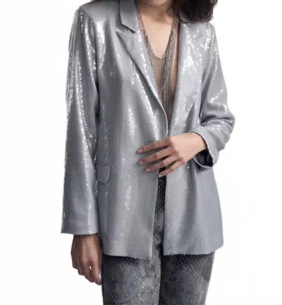 Picadilly Sequin Blazer In Frost Grey In Gray