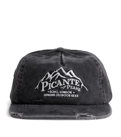 Picante Peaks Crew Cap In Gray
